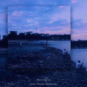 永久使用权freestyle