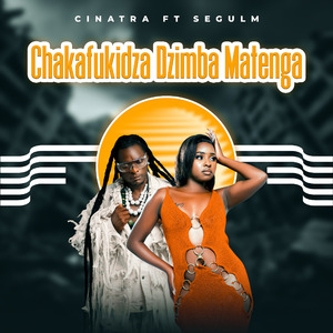 Chakafukidza Dzimba Matenga