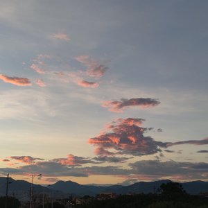 哎呦喂(cover_YangYang)