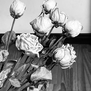 【Free】‘coma’