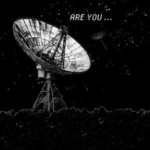 Are you