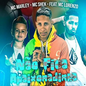 Não Fica Apaixonadinha (feat. MC Lorenzo)