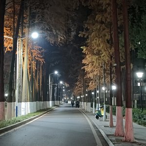 酒后