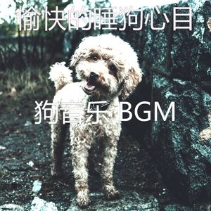 有趣训练犬情怀