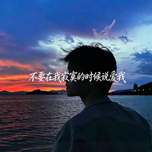 不要在我寂寞的时候说爱我(Funky)