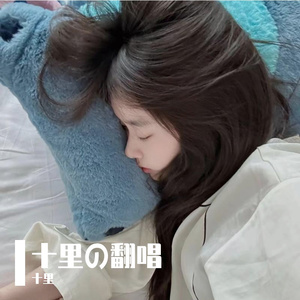 长安忆（Cover双笙）