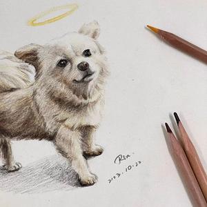 十万嬉皮（女版）