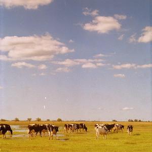 Fo(se) souri (feat. lusio)