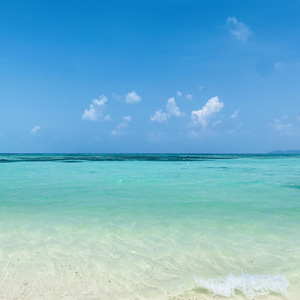 ハナミズキ (feat. 一青窈) [Cover]