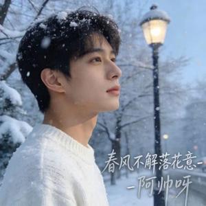 春风不解落花意 (DJ版)