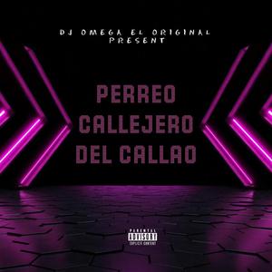 Callejero Mix Yeiker (DJ Omega El Original)