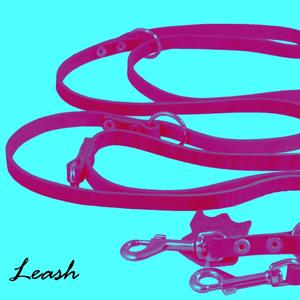 Leash