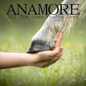 All The Ones You've Lost