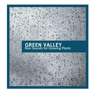 Terrestrial Insects & Birds