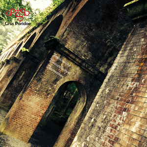 Forthcoming Nonintellectual Decadence