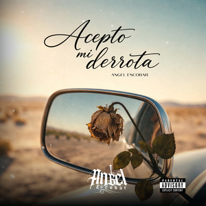 Acepto mi derrota