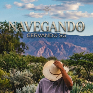 NAVEGANDO