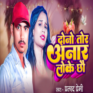 Dono Tor Anar Loke Cho