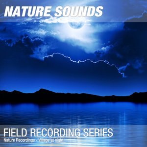 Nature Sounds for Sleep, Relaxation & Meditation (Village at night, crickets) 01