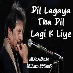 Dil Lagaya Tha Dil Lagi K Liye