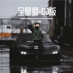 凤凰传奇-全是爱-DJ版（张同学很忙 remix）