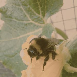 Eigenverantwortung