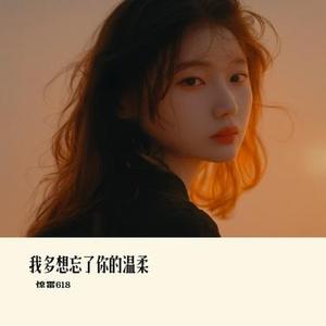 我多想忘了你的温柔