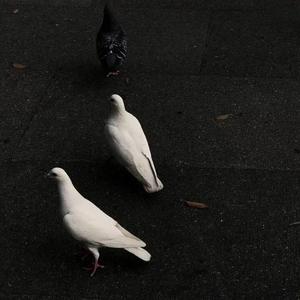 11.25（Prod By LilSiren&Lv9）