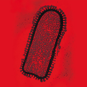 Ce que la tête pense