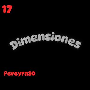 Dimensiones