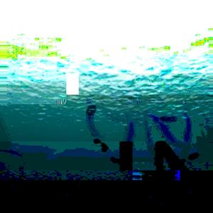 돌고래는 "영혼의 깊이는 바다보다 깊다"고 말합니다