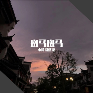 斑马斑马