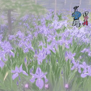 鸢尾花(prod.by Morrow)