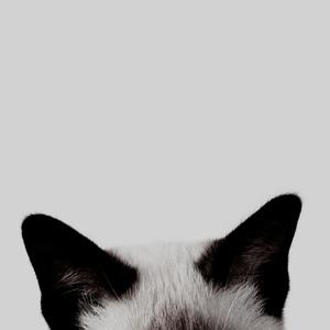 We Are Not The Same!