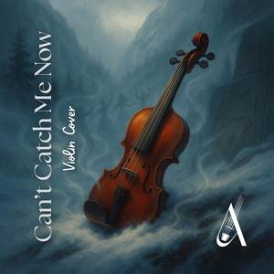 Can't Catch Me Now (Violin Cover)