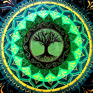 Vibrando na Força Que Há