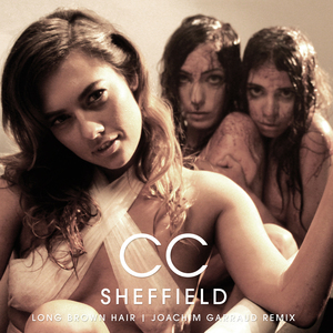 Long Brown Hair (Joachim Garraud Radio Edit Remix)
