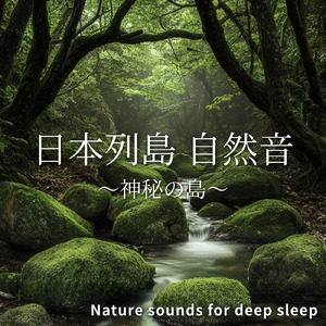 睡眠用BGM 海の鼓動で眠りにつく夜