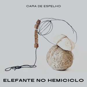 Elefante no Hemiciclo
