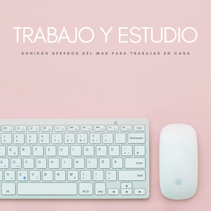 Ambiente Para Trabajar Desde Casa