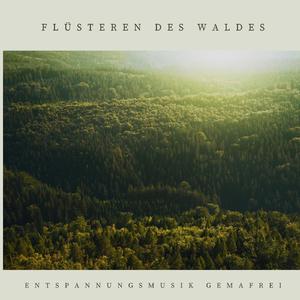 Flüstern des Berges