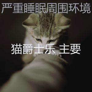温和小猫梦想