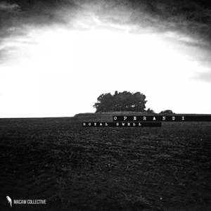 Royal Swell (Original Mix)