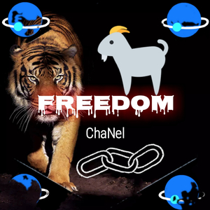 Freedom