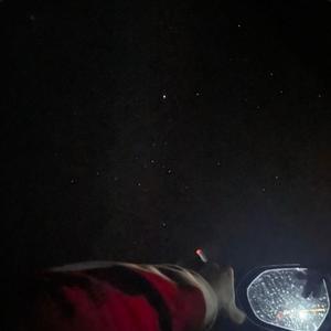 Wait, TheStarsNeedMe