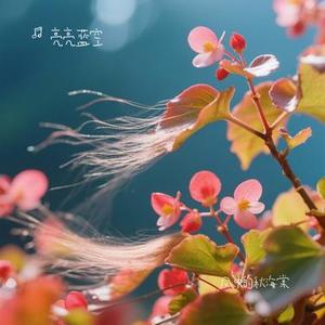 风中的秋海棠