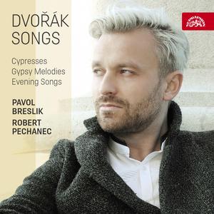 Gypsy Songs, Op. 55, B. 104: IV. Songs My Mother Tought Me - Andante con moto