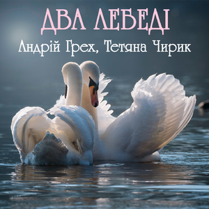 Два лебеді