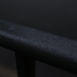 新的血液