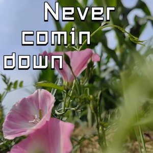 Never comin down